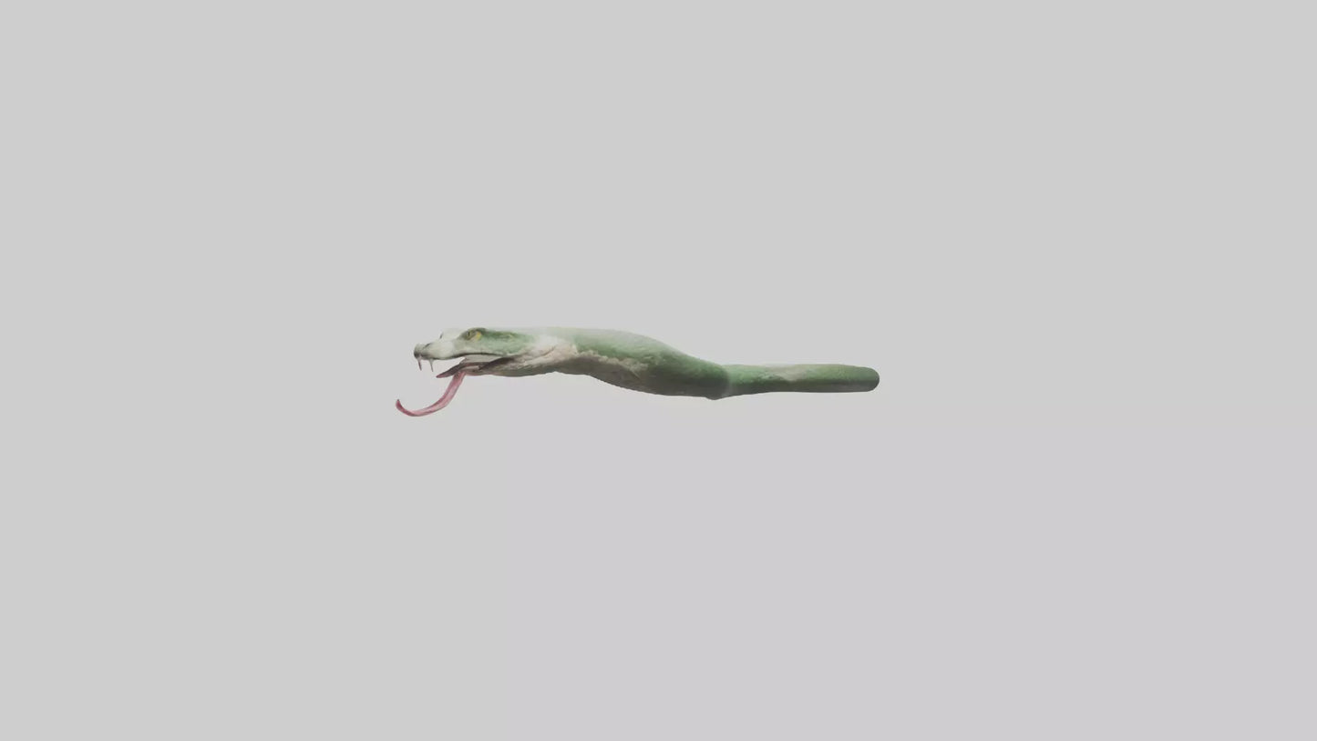 Snake Tongue Model 3D model