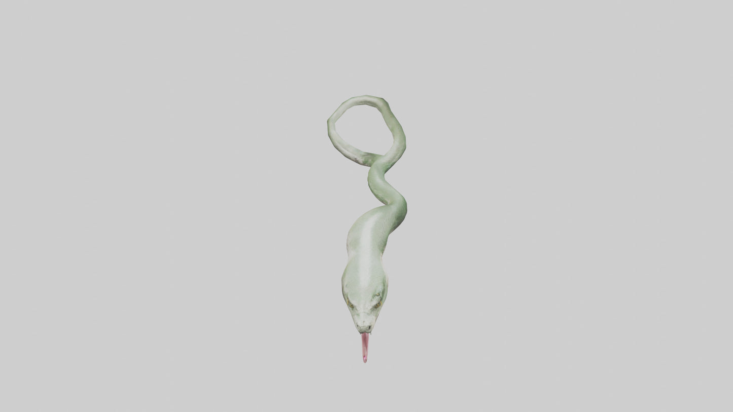 Snake Tongue Model 3D model