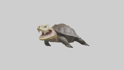 Snapping Turtle biting model 3D model