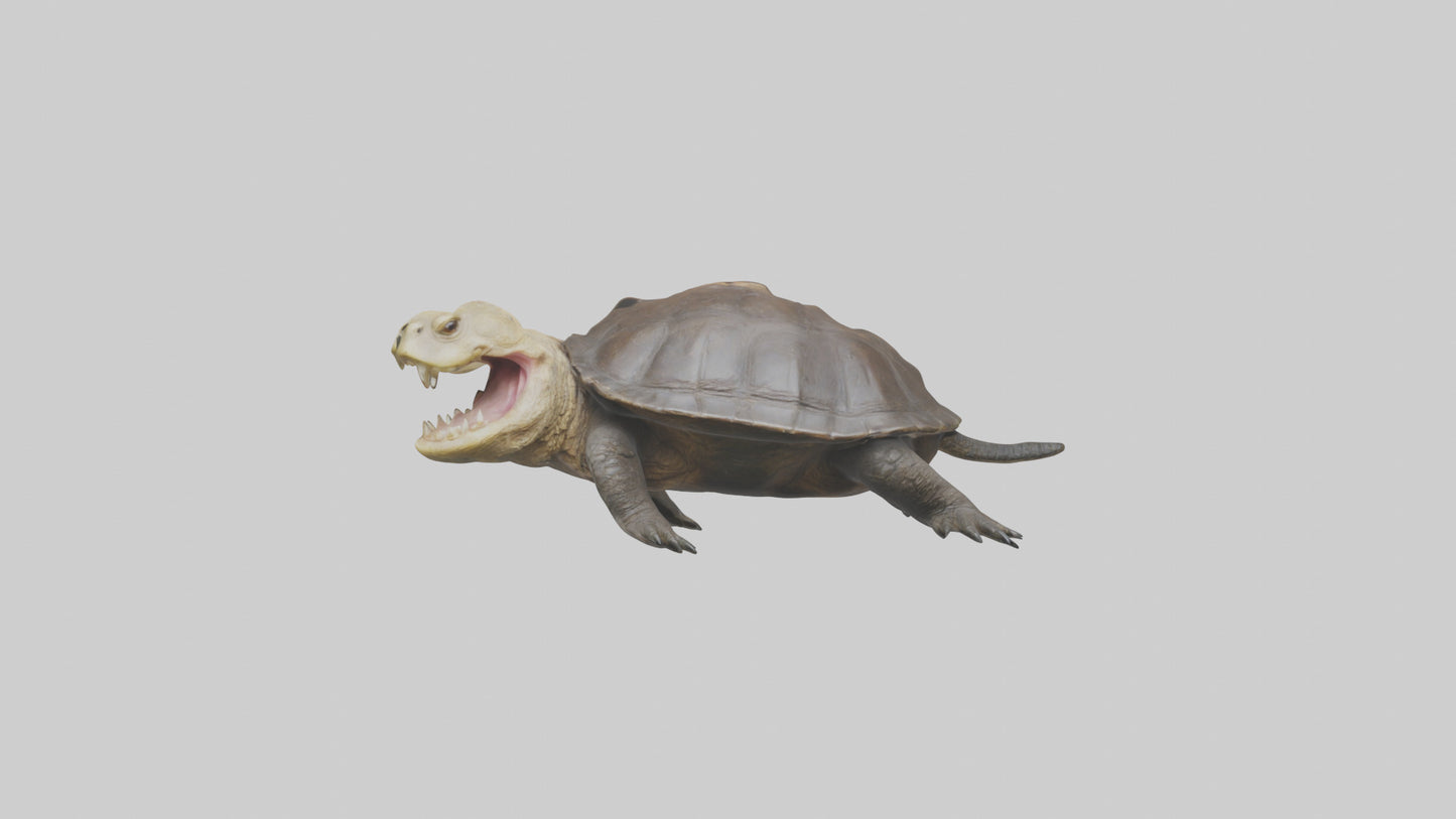 Snapping Turtle biting model 3D model