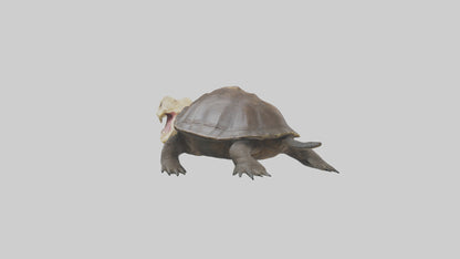 Snapping Turtle biting model 3D model