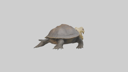 Snapping Turtle biting model 3D model