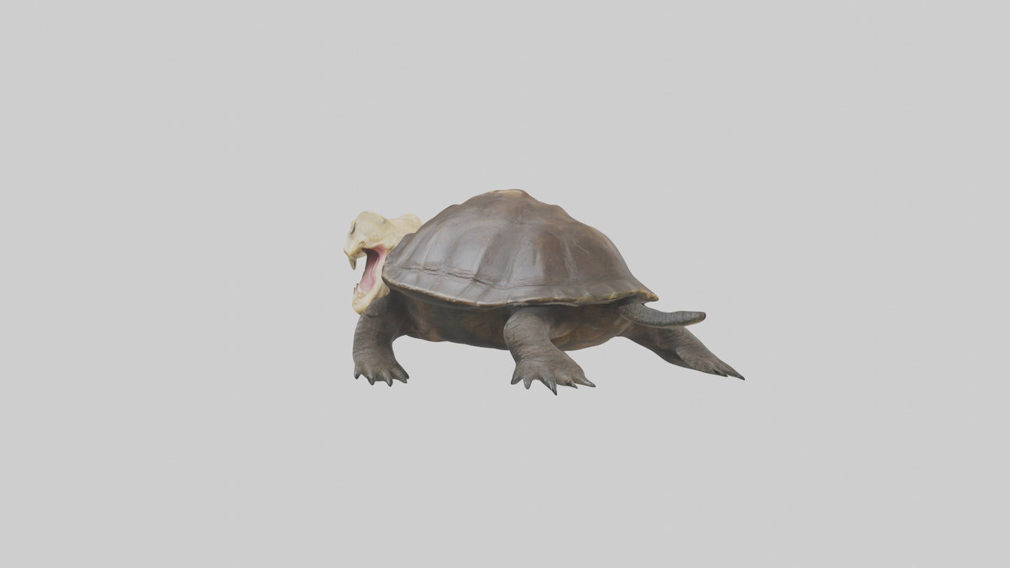 Snapping Turtle biting model 3D model