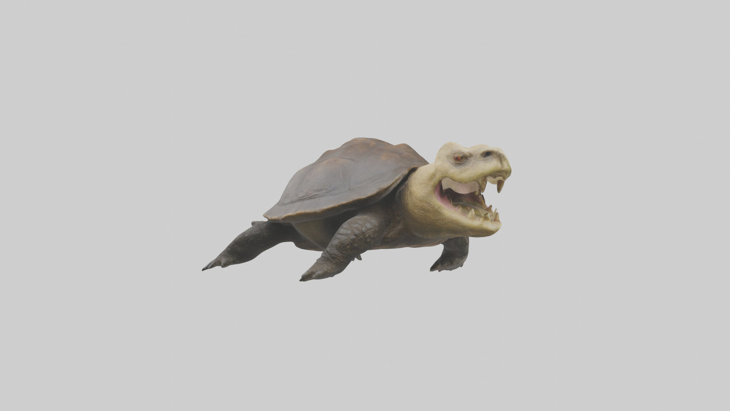 Snapping Turtle biting model 3D model