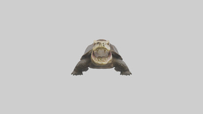 Snapping Turtle biting model 3D model