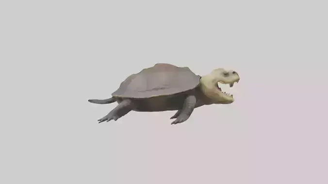 Snapping Turtle biting model 3D model