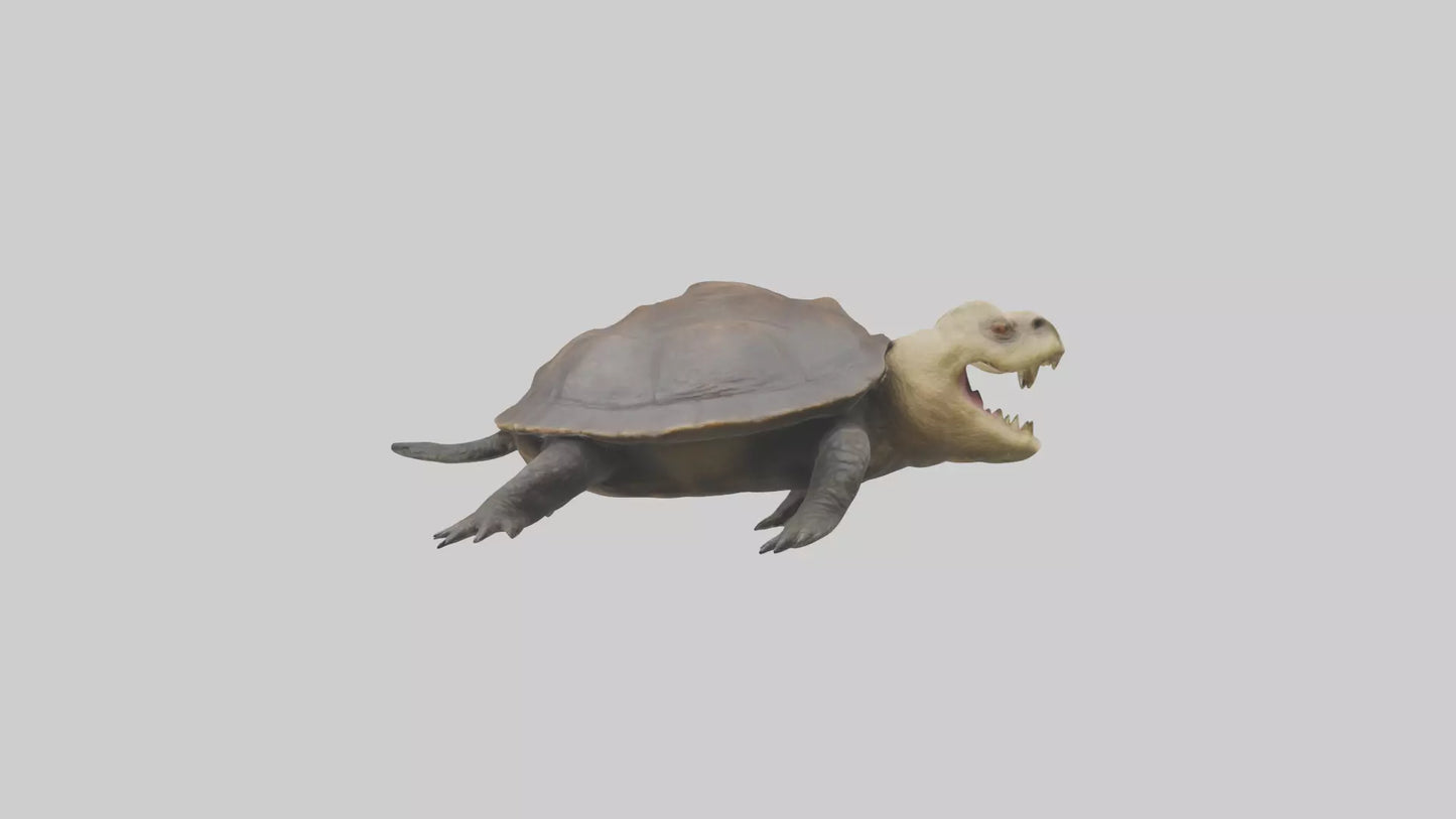 Snapping Turtle biting model 3D model