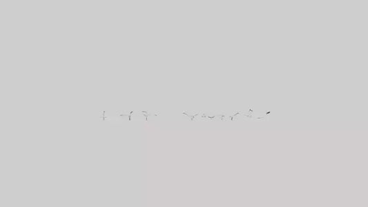 Snow Goose migrating model 3D model