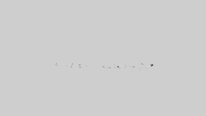 Snow Goose migrating model 3D model