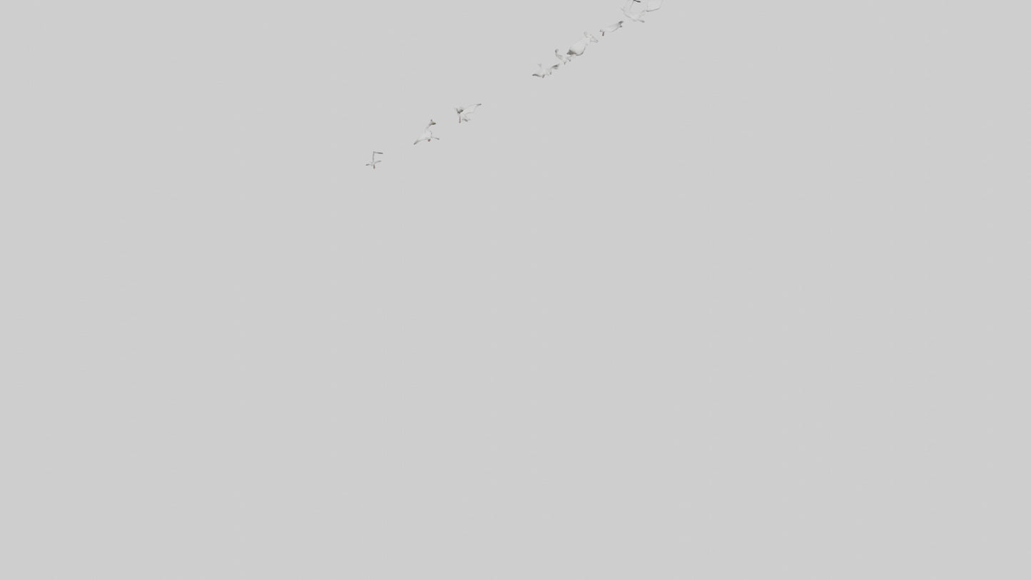 Snow Goose migrating model 3D model