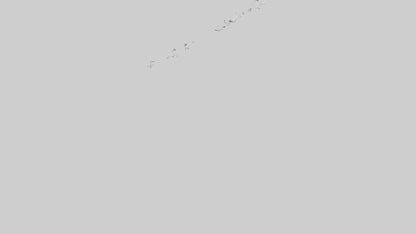 Snow Goose migrating model 3D model