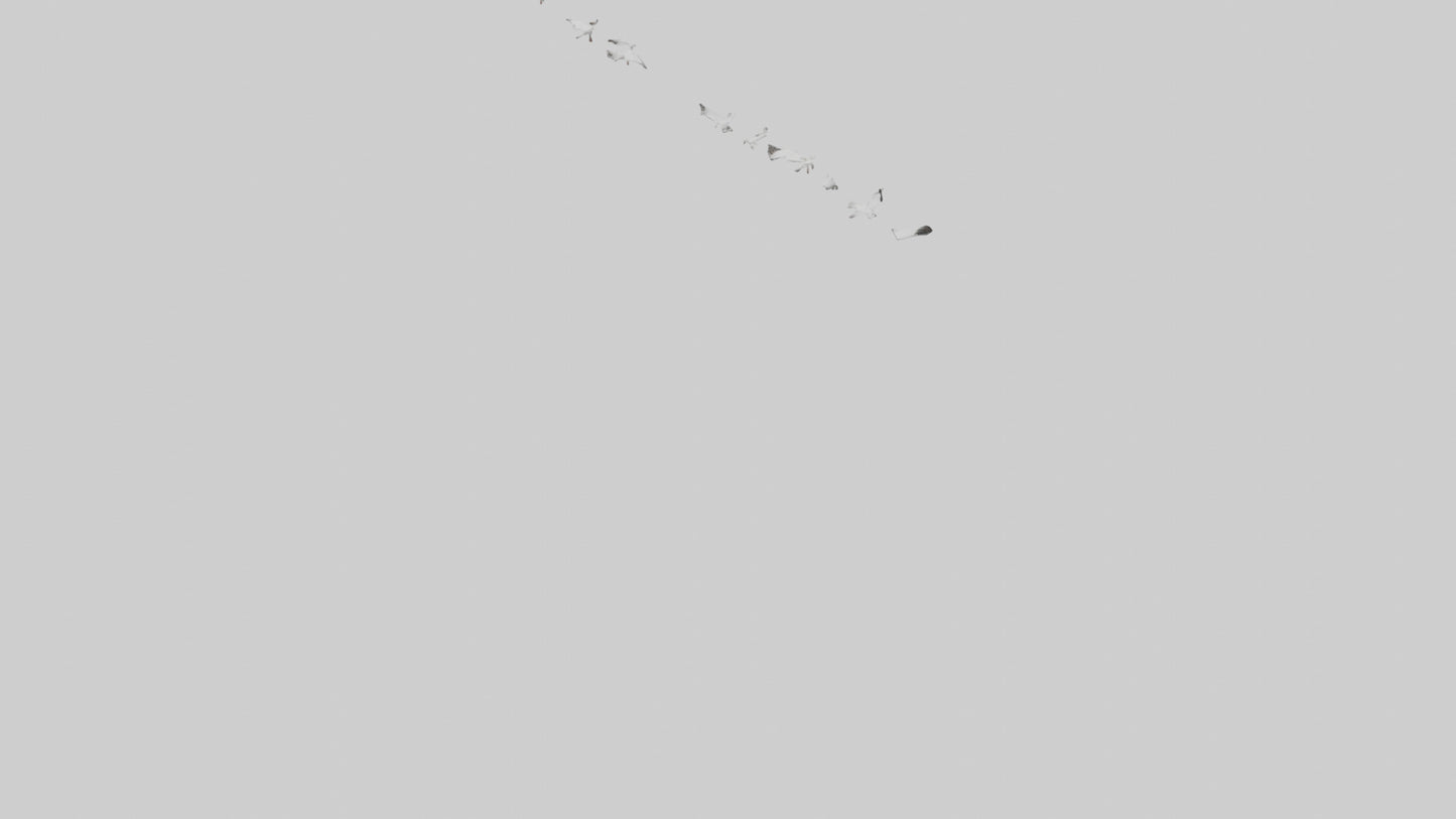 Snow Goose migrating model 3D model