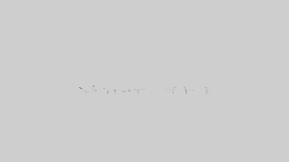 Snow Goose migrating model 3D model