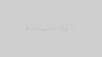 Snow Goose migrating model 3D model