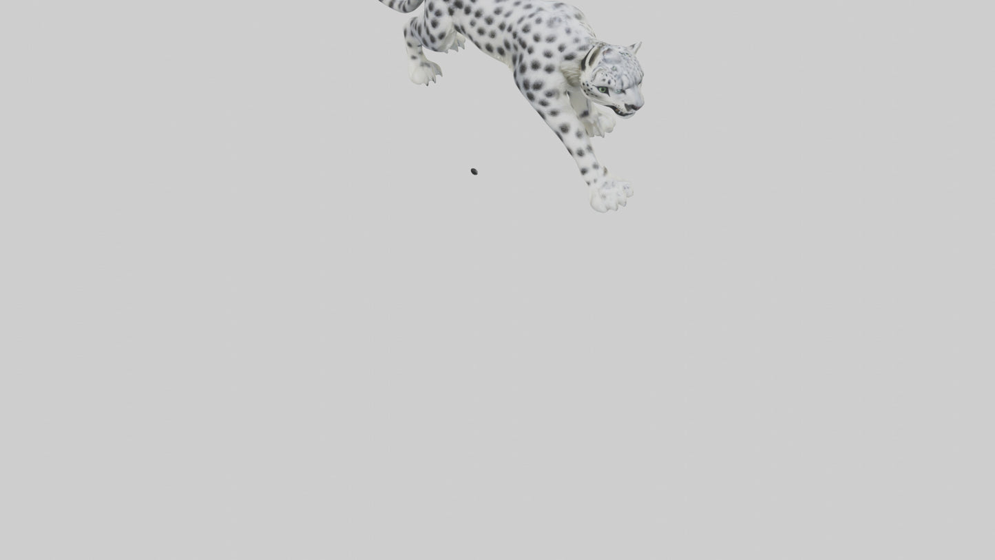 Snow Leopard hunting model 3D model