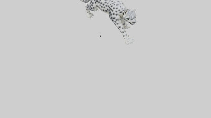 Snow Leopard hunting model 3D model