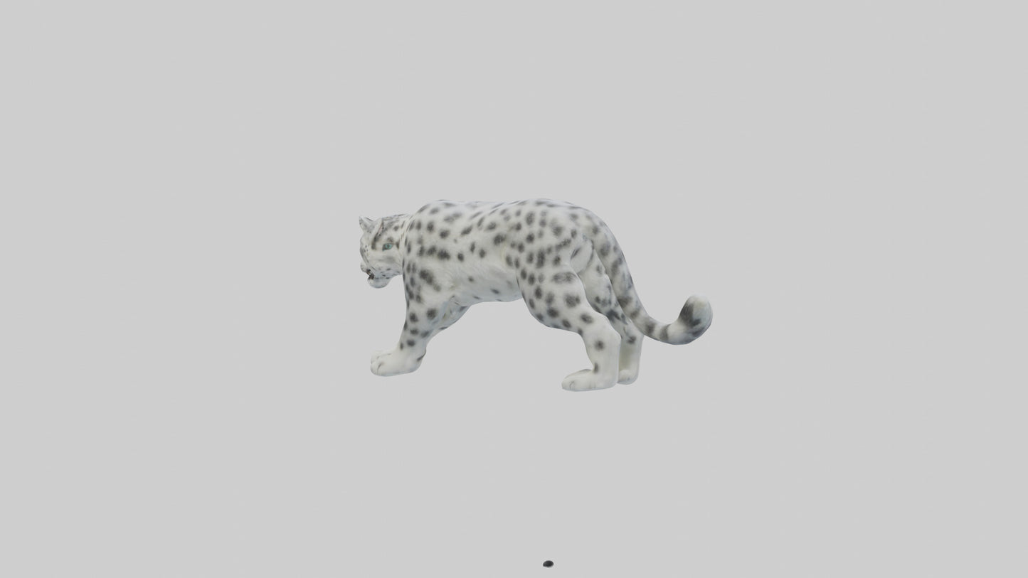 Snow Leopard hunting model 3D model