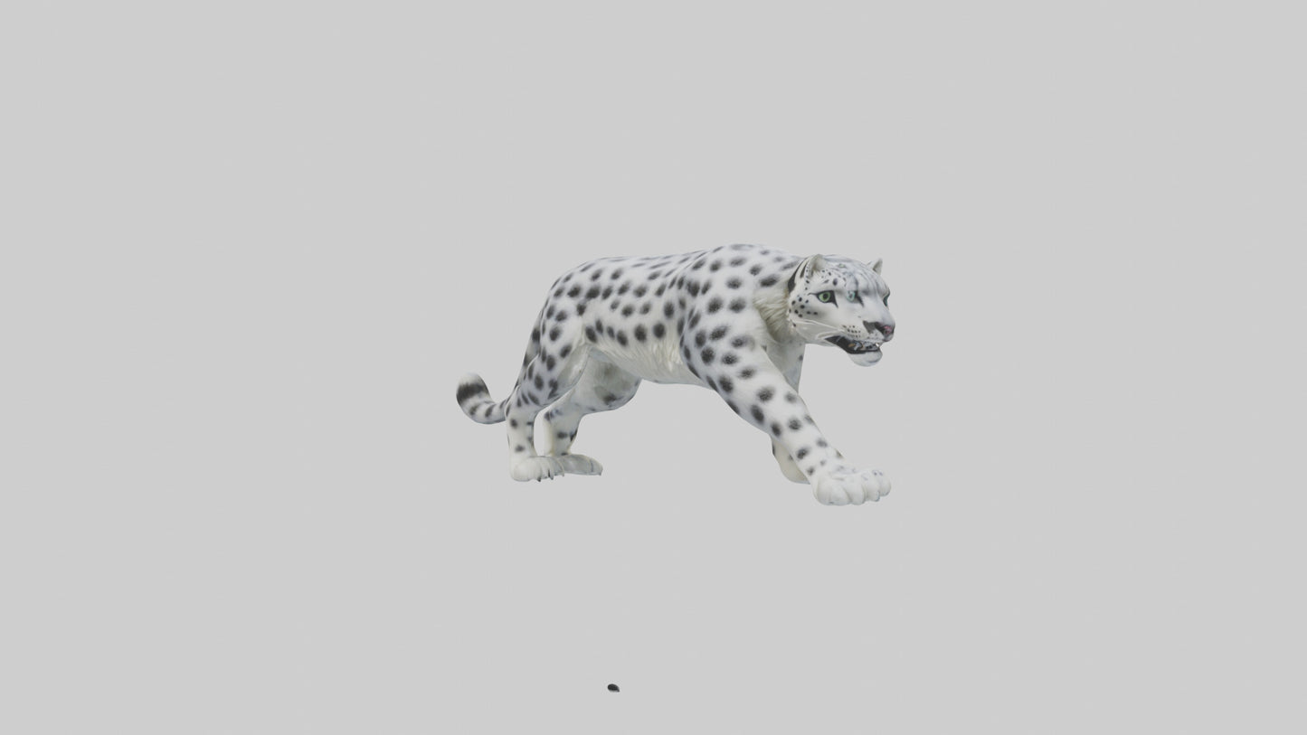 Snow Leopard hunting model 3D model