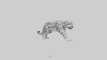 Snow Leopard hunting model 3D model
