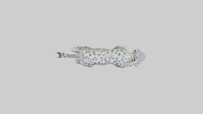 Snow Leopard hunting model 3D model