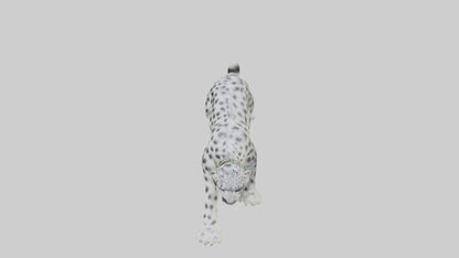 Snow Leopard hunting model 3D model
