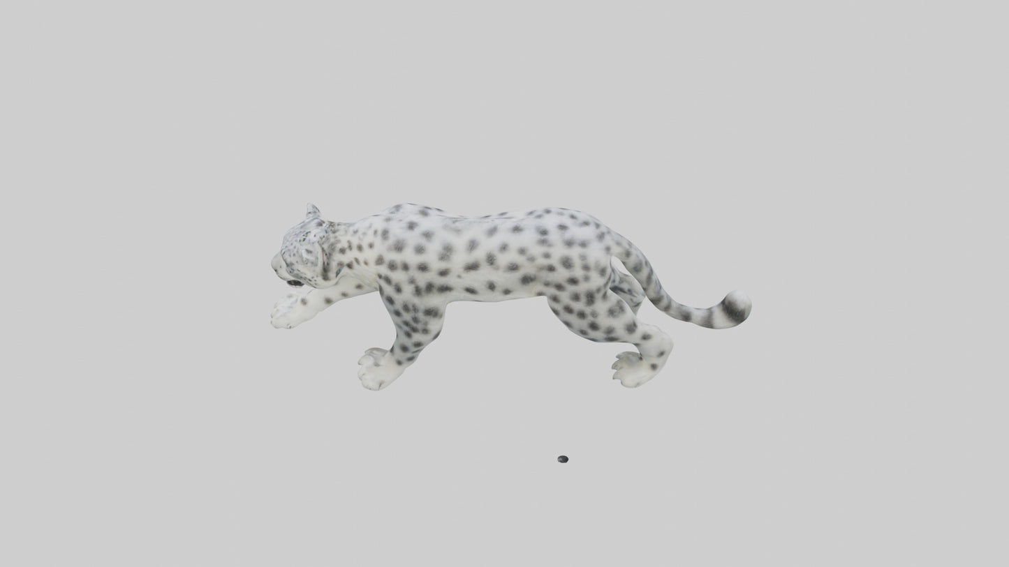 Snow Leopard hunting model 3D model