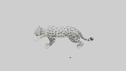 Snow Leopard hunting model 3D model
