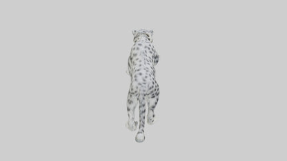 Snow Leopard hunting model 3D model