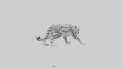 Snow Leopard hunting model 3D model