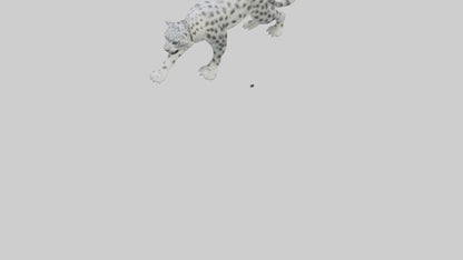 Snow Leopard hunting model 3D model