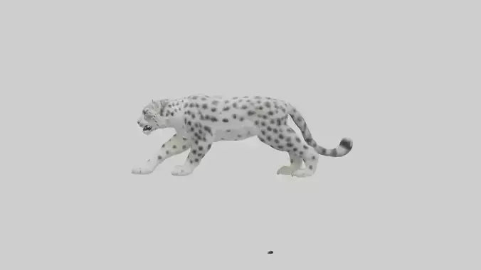 Snow Leopard hunting model 3D model