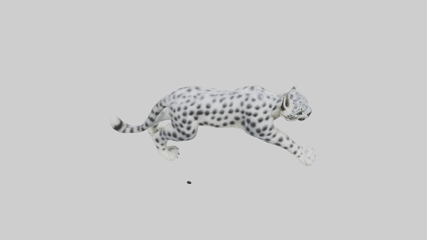 Snow Leopard hunting model 3D model