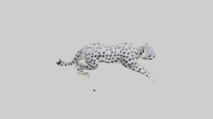 Snow Leopard hunting model 3D model