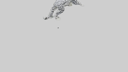 Snow Leopard hunting model 3D model