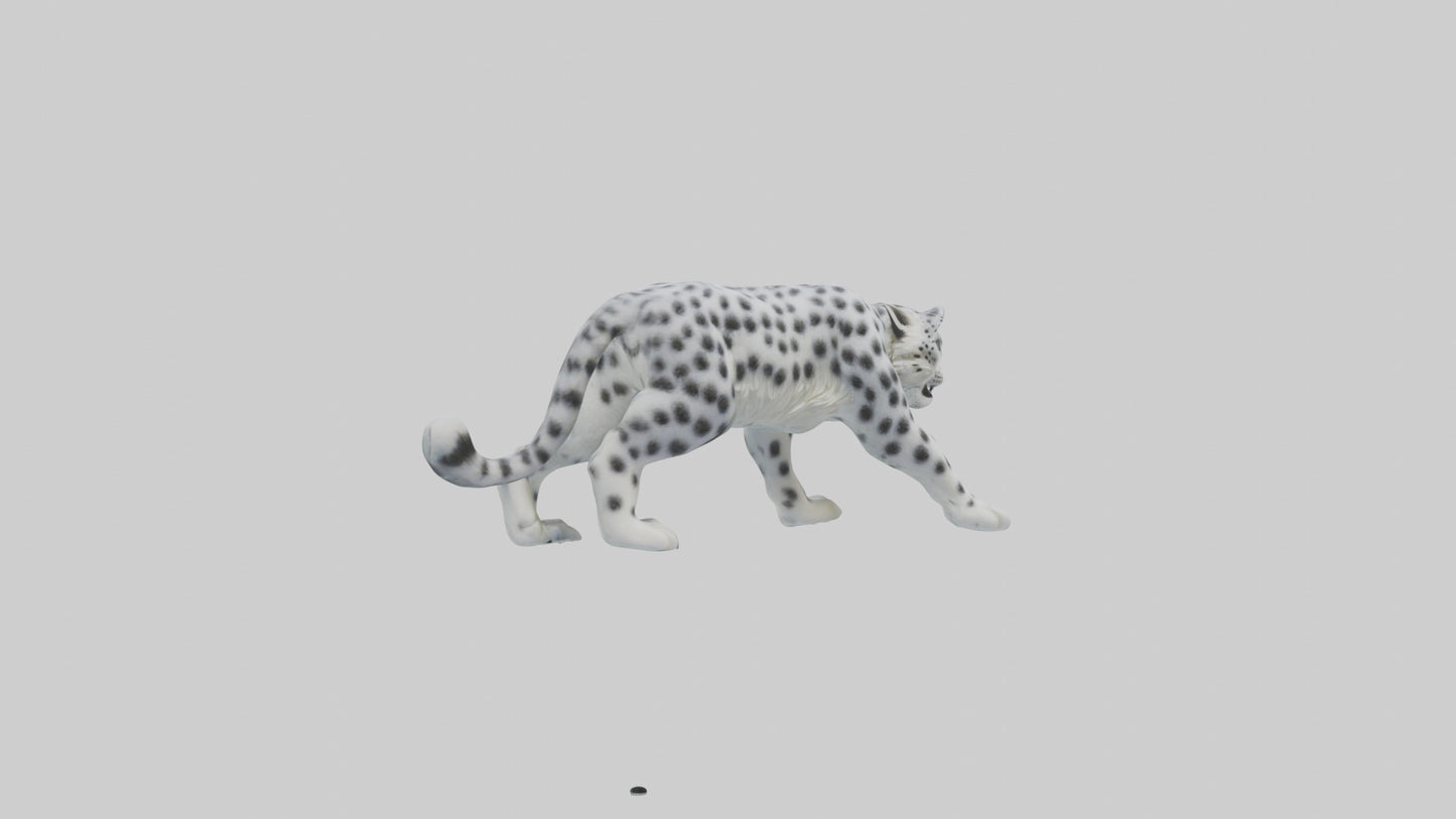 Snow Leopard hunting model 3D model