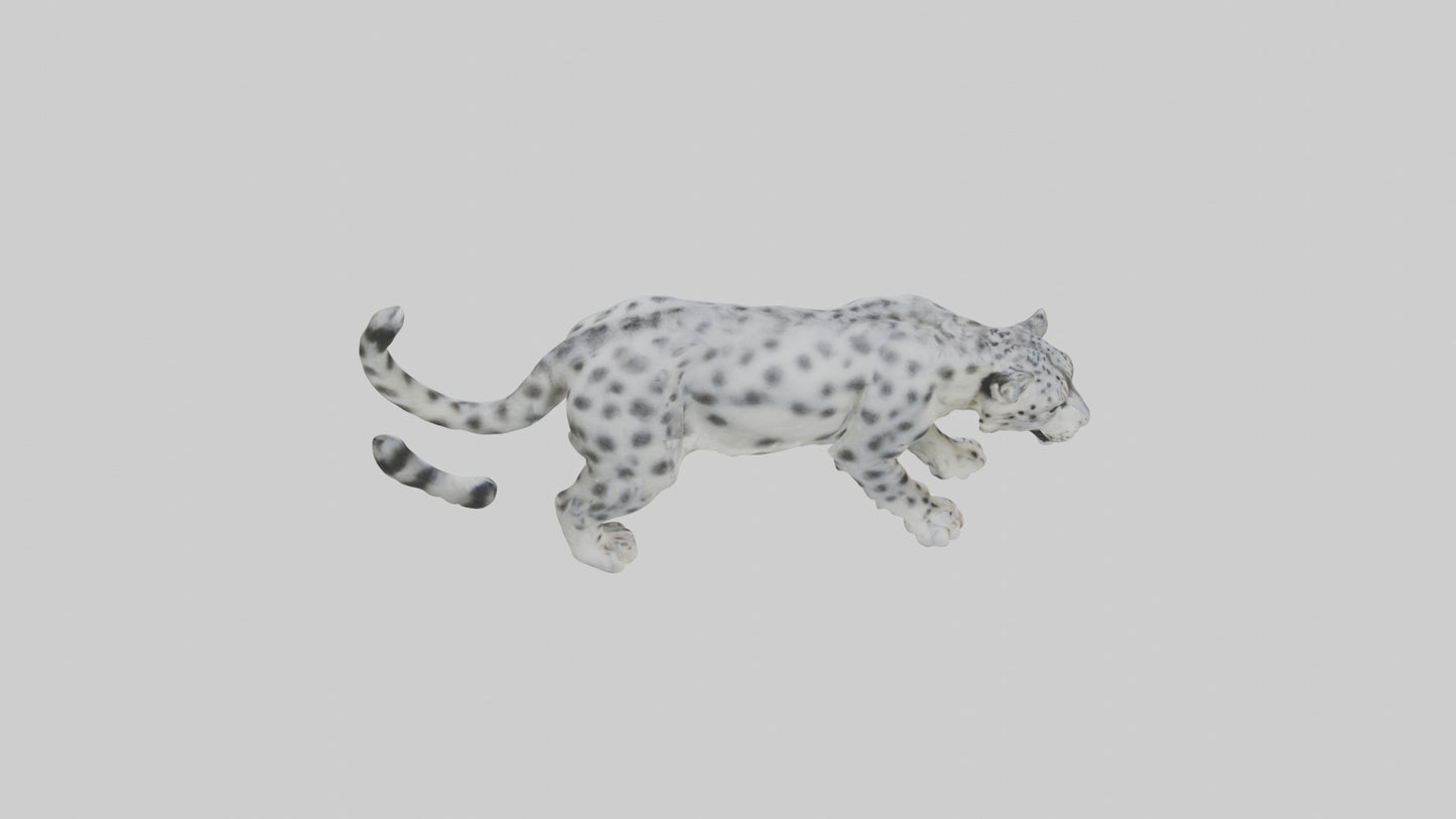 Snow Leopard stalking model 3D model