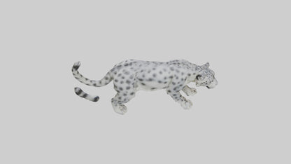 Snow Leopard stalking model 3D model