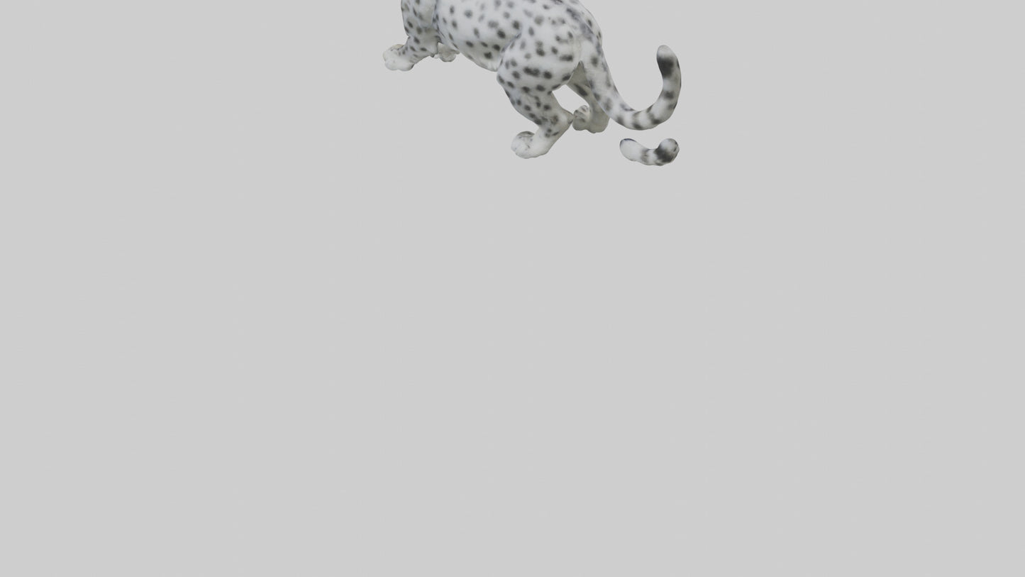 Snow Leopard stalking model 3D model