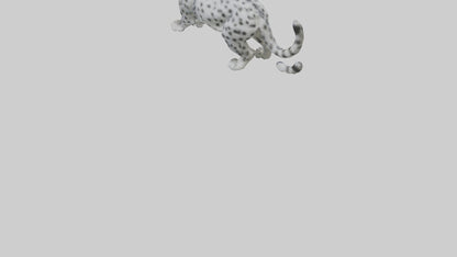 Snow Leopard stalking model 3D model