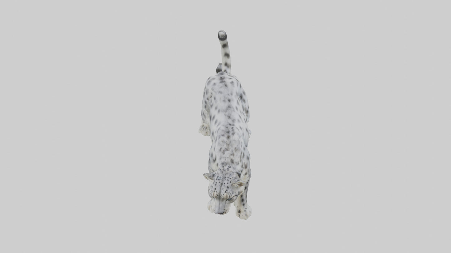 Snow Leopard stalking model 3D model