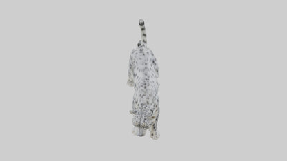 Snow Leopard stalking model 3D model