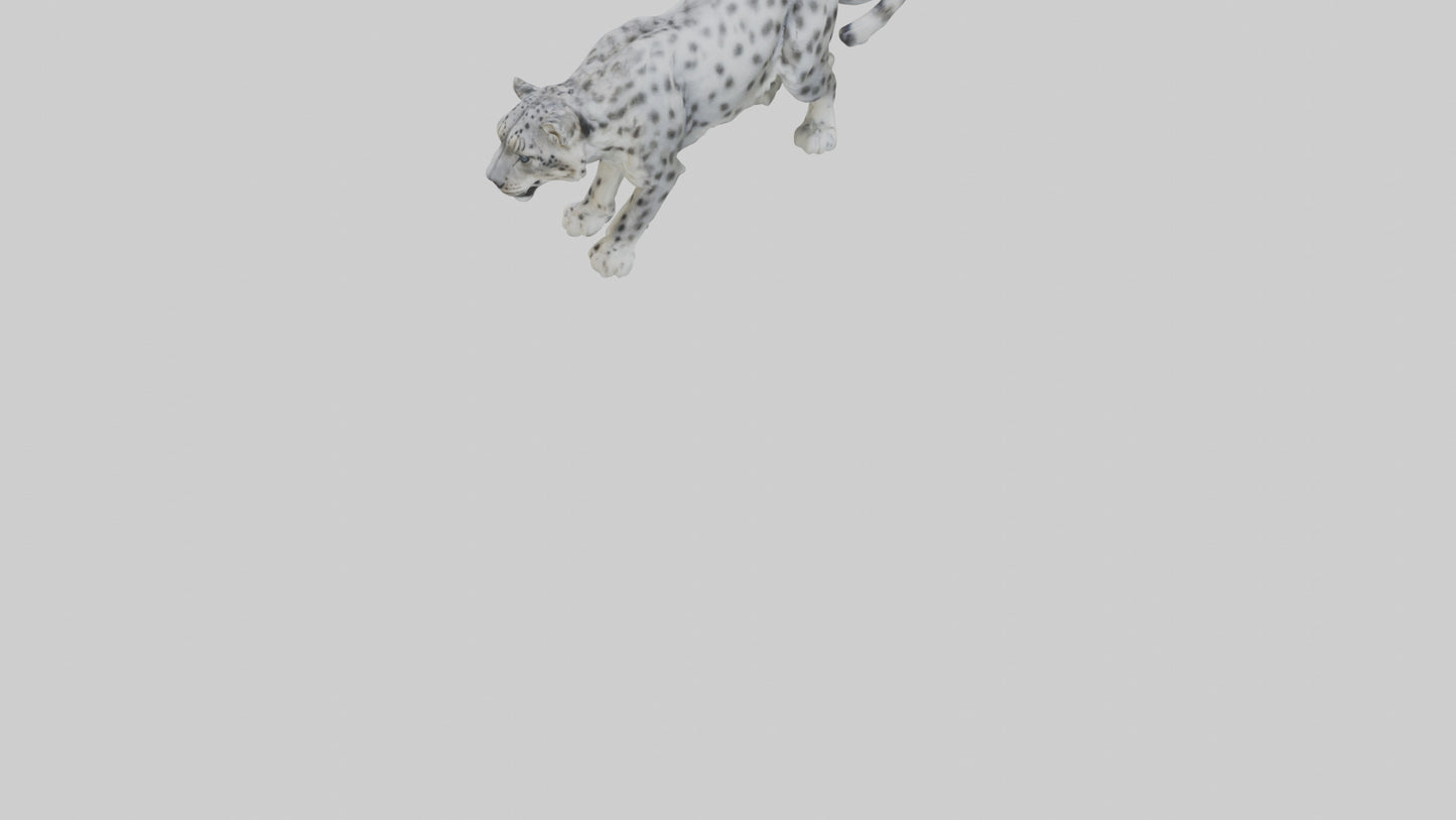 Snow Leopard stalking model 3D model