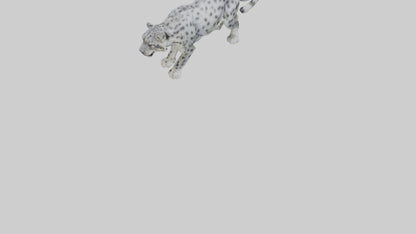 Snow Leopard stalking model 3D model