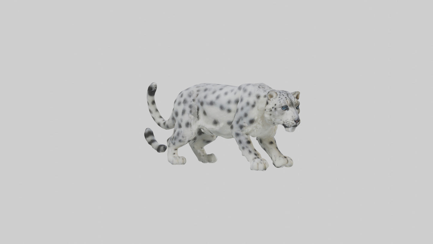 Snow Leopard stalking model 3D model