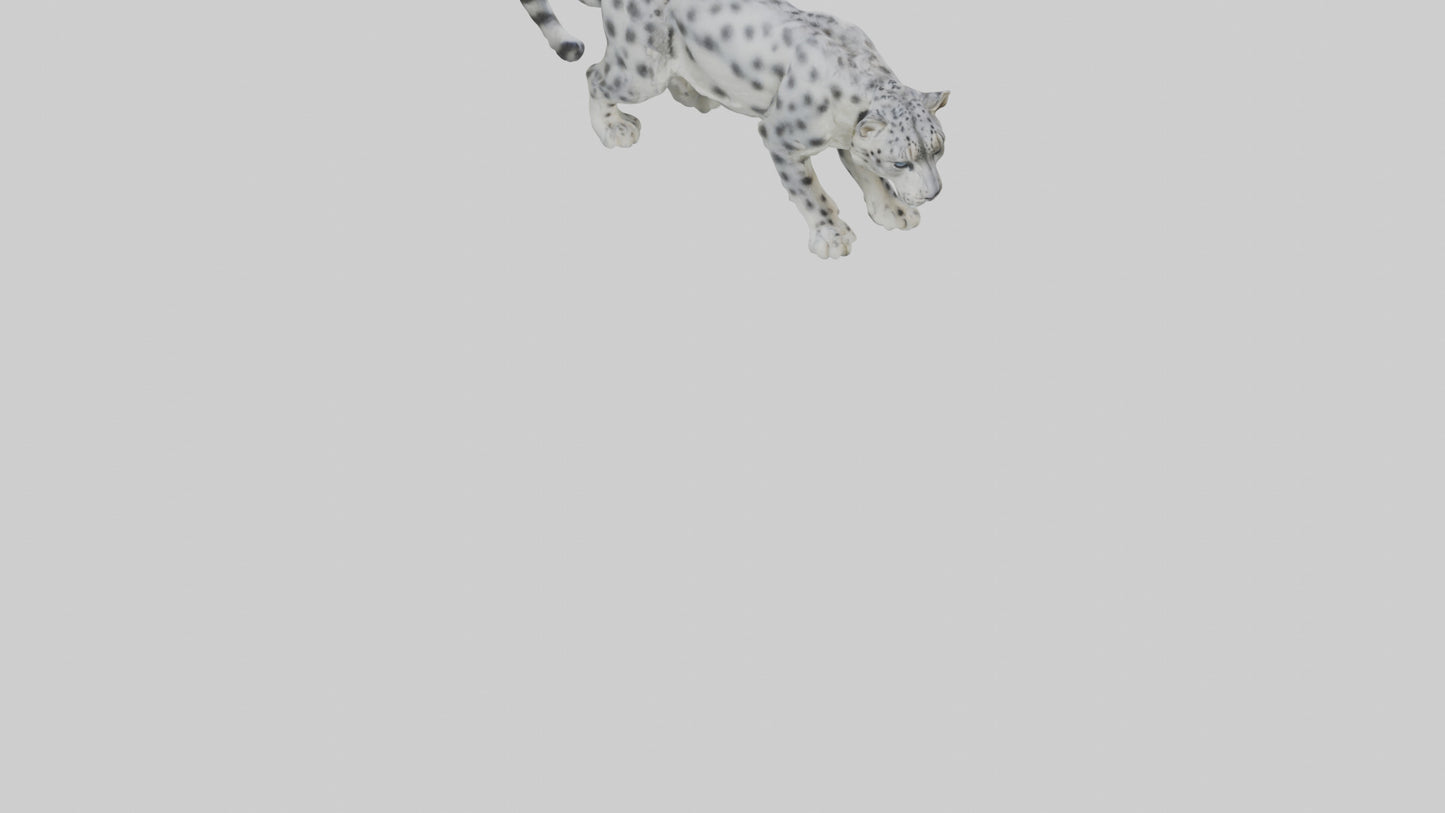 Snow Leopard stalking model 3D model