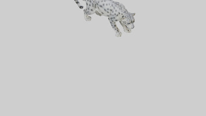 Snow Leopard stalking model 3D model