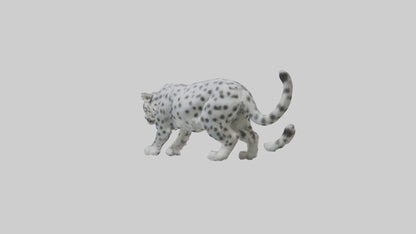 Snow Leopard stalking model 3D model