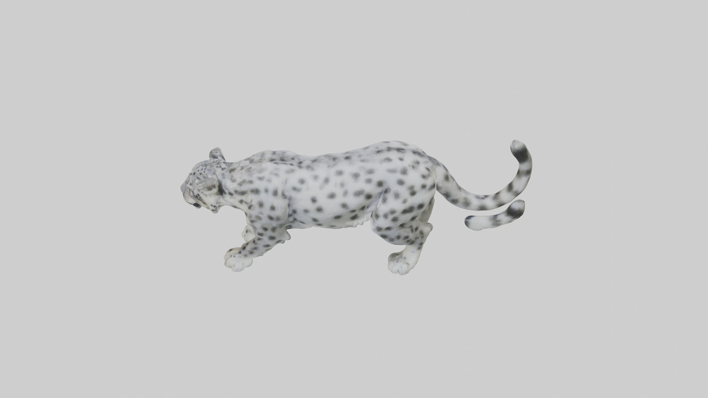 Snow Leopard stalking model 3D model