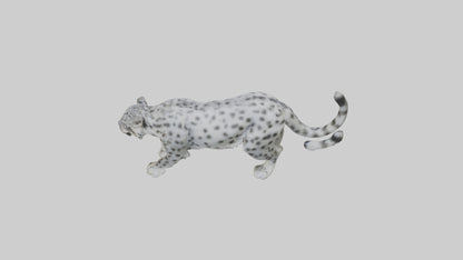 Snow Leopard stalking model 3D model