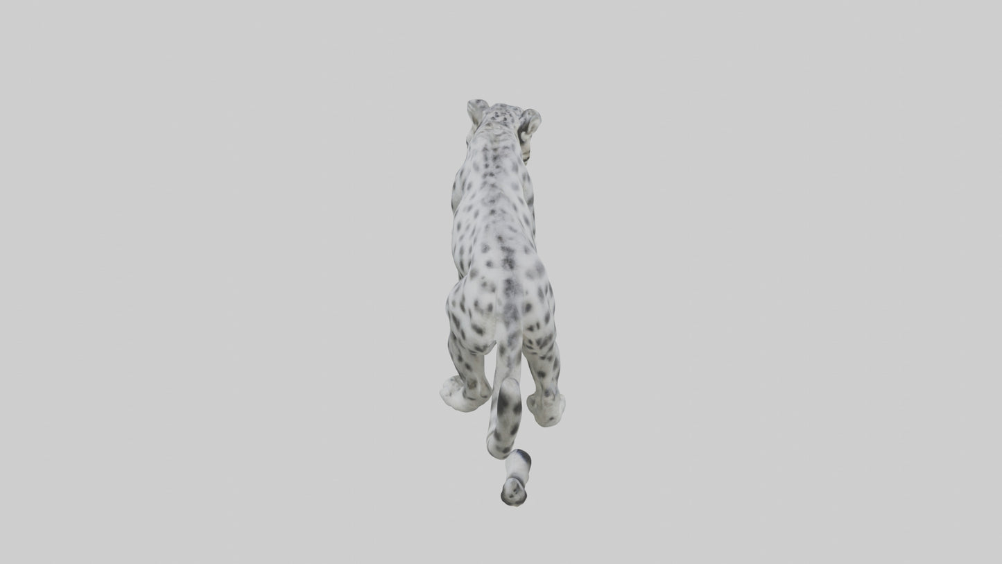 Snow Leopard stalking model 3D model